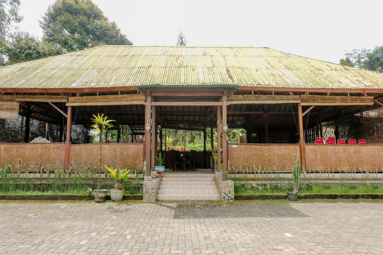 Oyo 1415 Ijen Residence Licin Eksteriør bilde