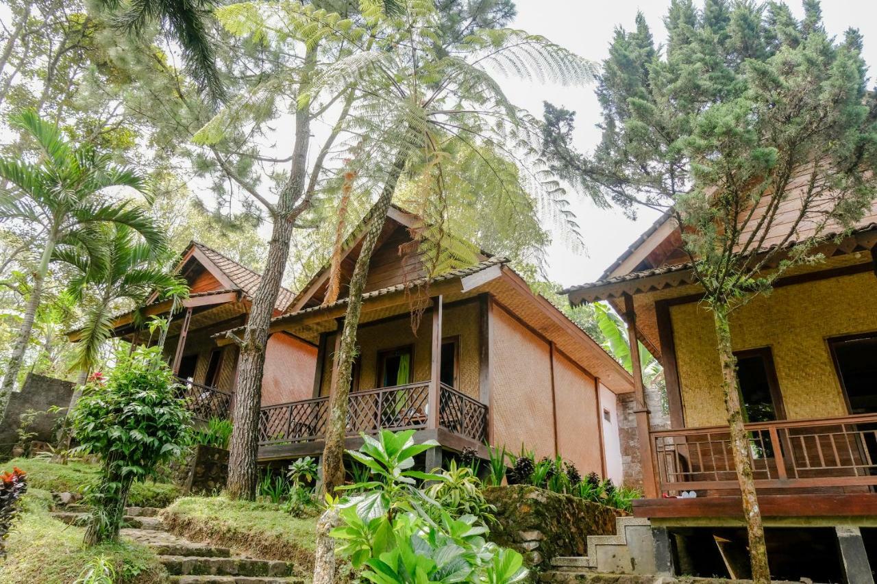 Oyo 1415 Ijen Residence Licin Eksteriør bilde