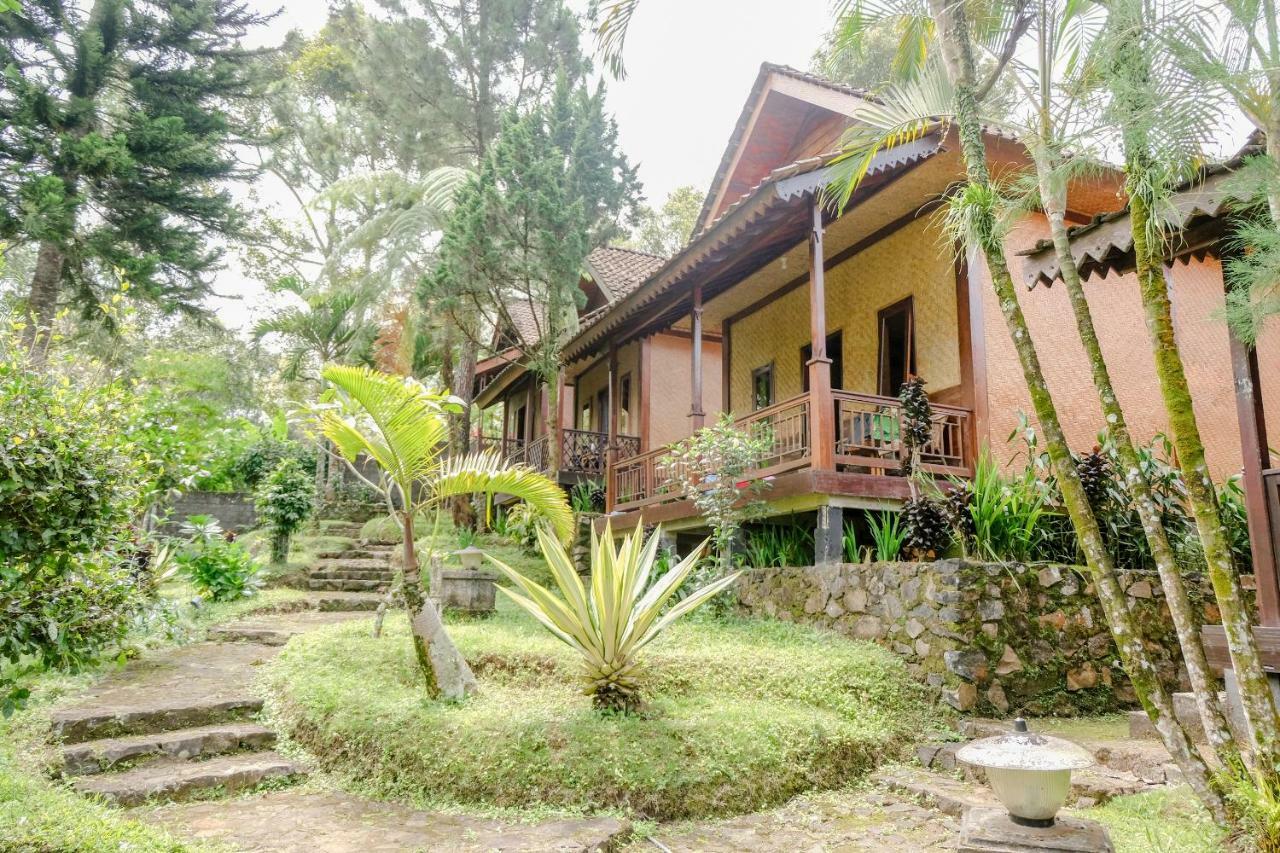 Oyo 1415 Ijen Residence Licin Eksteriør bilde
