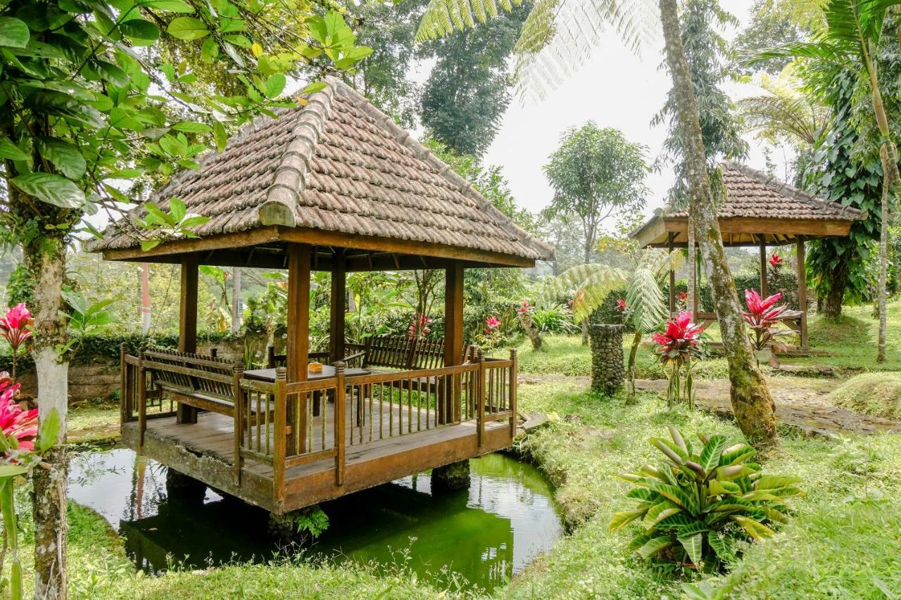Oyo 1415 Ijen Residence Licin Eksteriør bilde